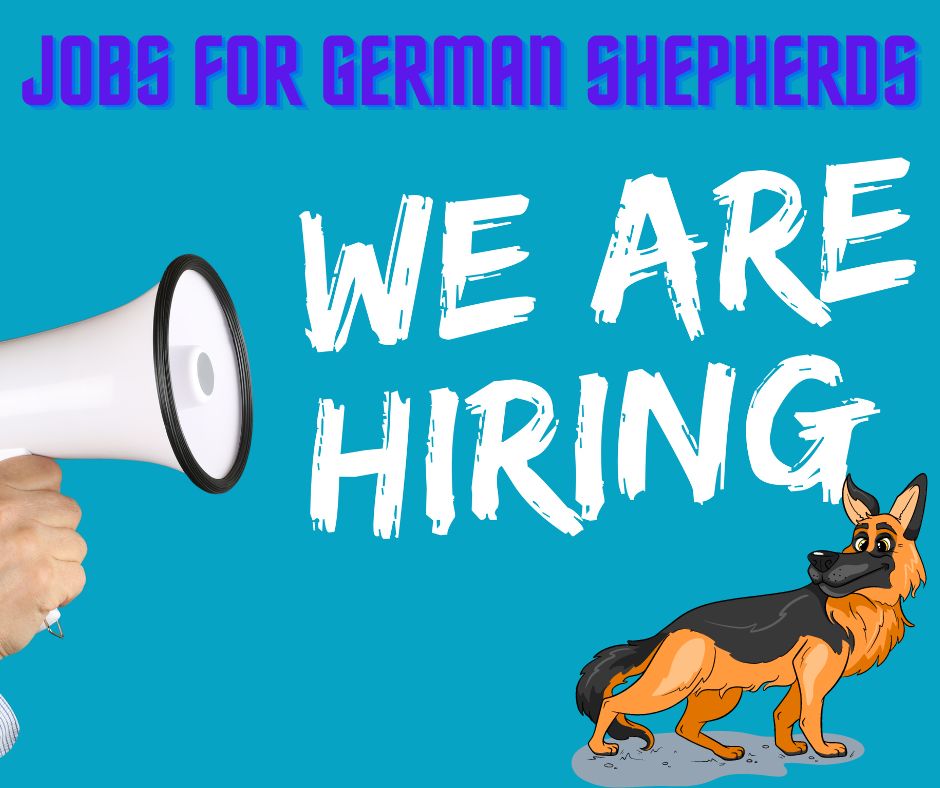 Jobs for german Shepherds. We are hiring sign.