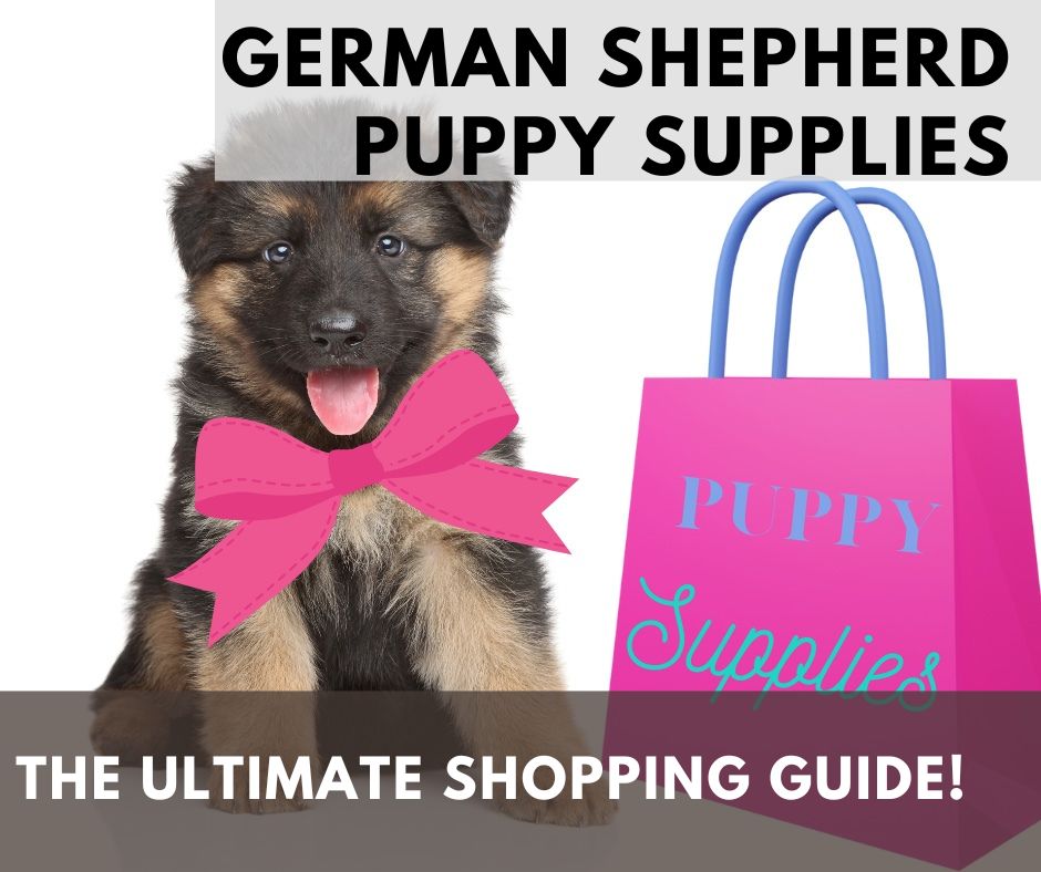 German Shepherd puppy supplies