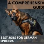 Jobs for German Shepherds