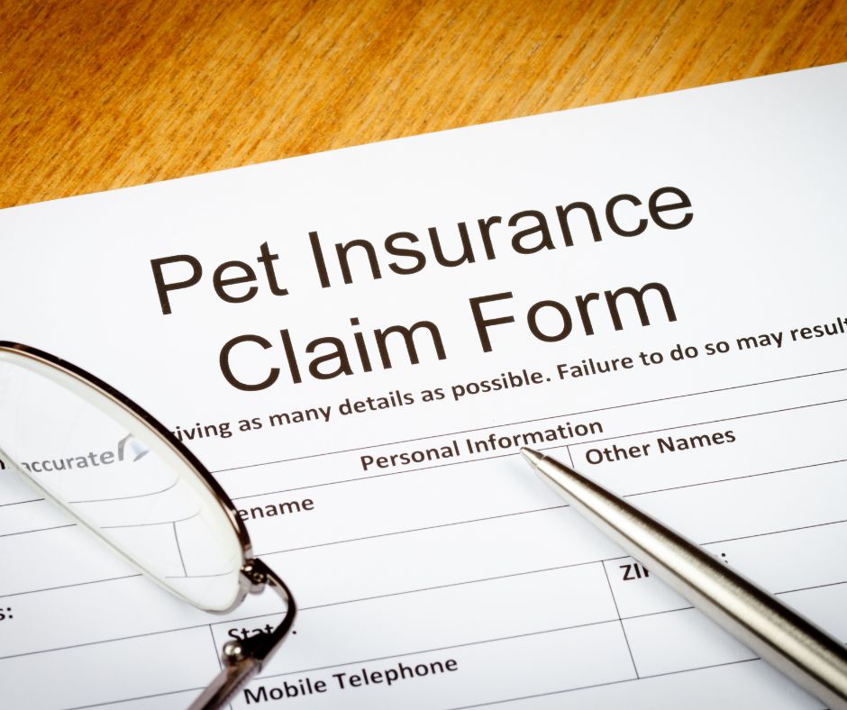 A pet insurance claim form.