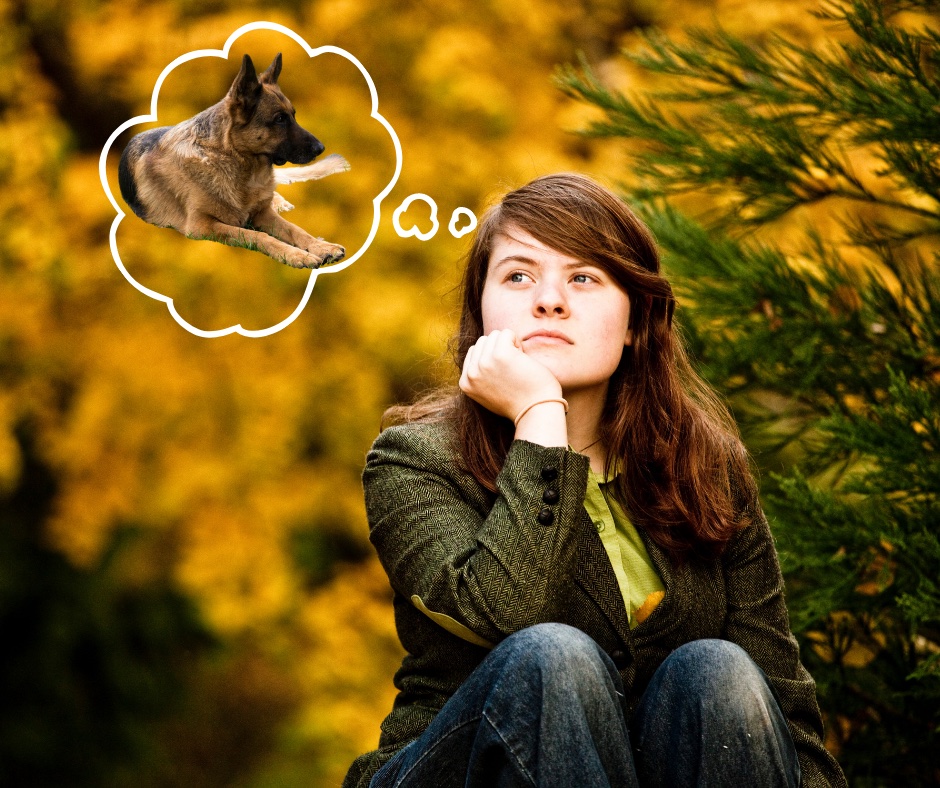 Woman thinking about getting a German Shepherd