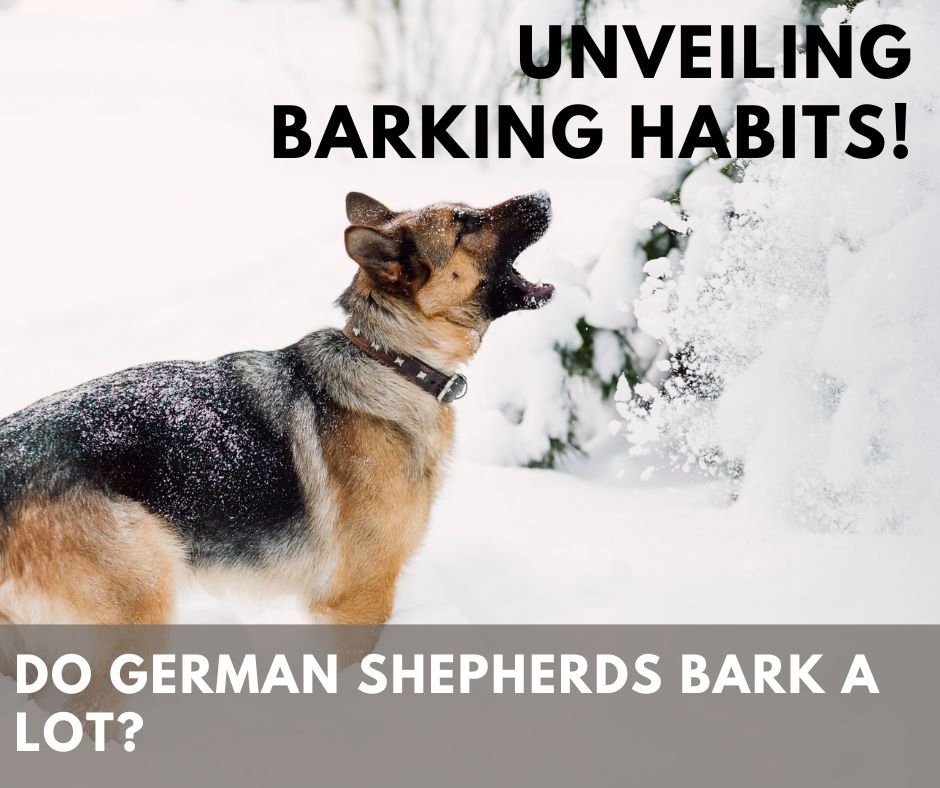 Do German Shepherds Bark A Lot?