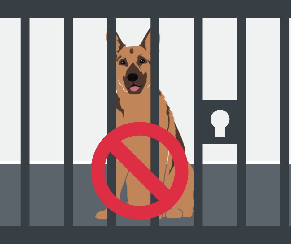 A-Dog-Crate-Is-Not-A-Prison