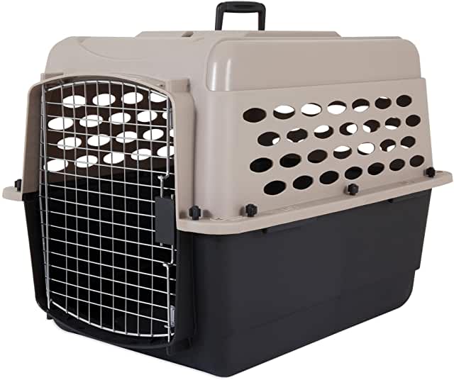 Dog-Crates-For-German-Shepherd-Plastic-Travel-Crate