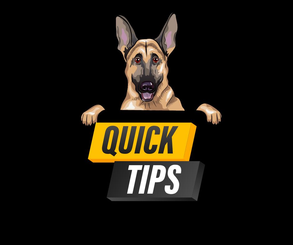 Cartoon German Shepherd holding a quick tips sign