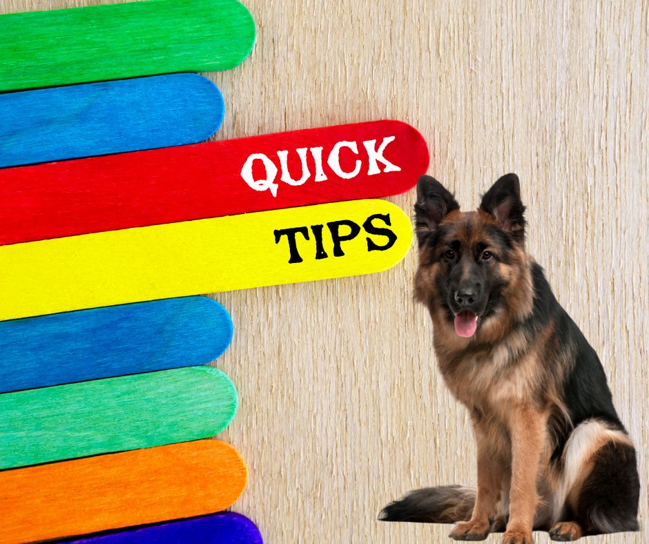 German-Shepherd-Puppy-Crate-Training-Tips