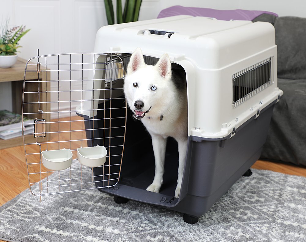 SportPet-Travel-Kennel-Dog-Carrier