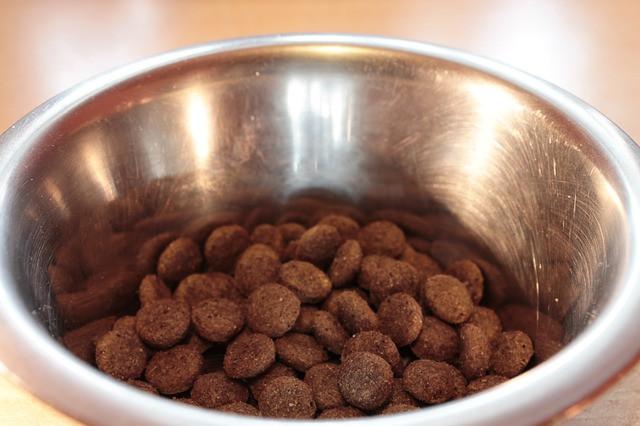 German Shepherd Puppy Supplies : Puppy Food