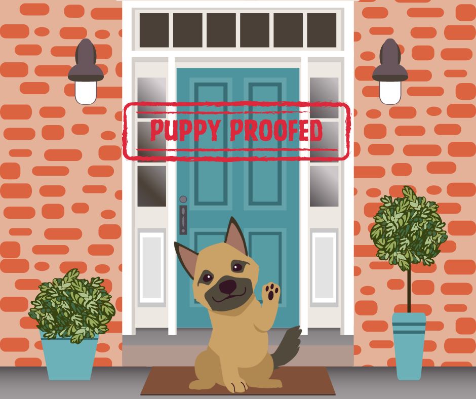 Cartoon of German Shepherd puppy stood out side a house with a puppy proof sign.