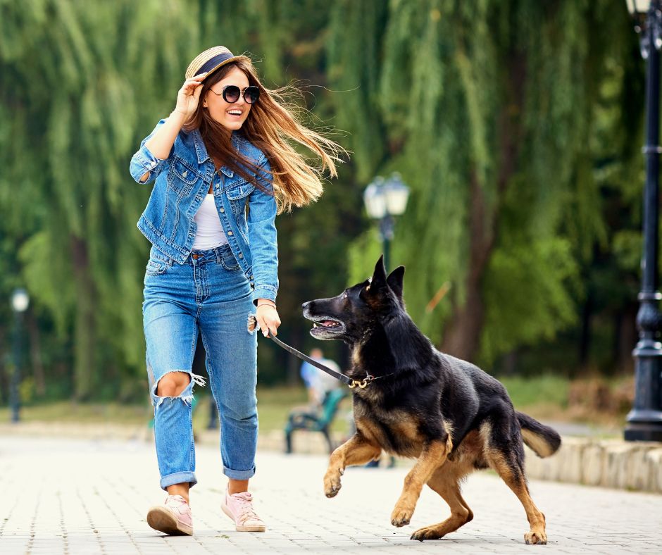 German Shepherd and Woman having a joyful life together.